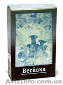 Гриб Веселка (фитотерапия) #157348