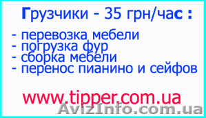 Услуги грузчиков Киев,  грузчики в Киеве #157982