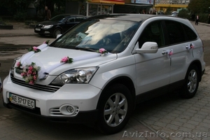 украшение воздушными шариками праздничных мероприятий #162842