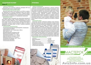 Сухие строительные смеси http://grandx.com.ua/masterok #191036