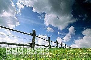 Дачный участок 19 км от Днепропетровска #189047