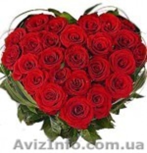 Доставка цветов #185569