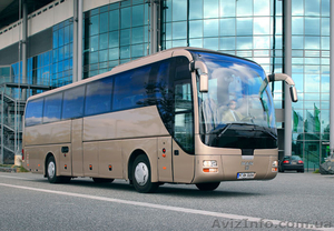 Пасажирські автобусні перевезення ( Львів,  Україна,  Європа,  ) #208081