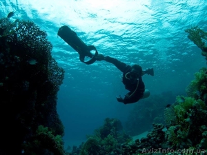Дайвинг-сафари в Египте+обучение дайвингу #209489