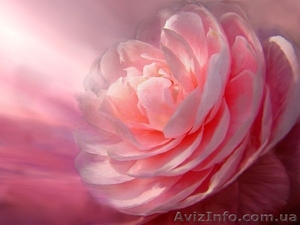 Очистка сердечного центра,  эмоциональное возрождение #214907