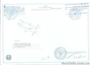 Продам землю (ОСГ) в Бориспольском районе 2га 500$ сота #190977