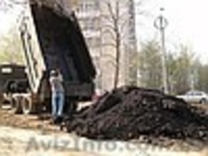 Чернозем,  чернозем с доставкой в Киеве и обл.Грунт,  торф 0674476235 #192570