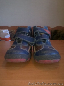 боитночки весенне-осенние #210592