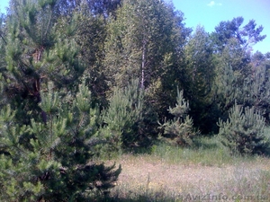 Юрий Анатольевич 0932110000 www.bogdanovka.com.ua #185978