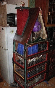 Клетки и домики на заказ #189413