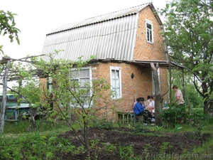 066 932 33 43 или 050 269 46 99 #200079