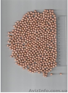 Продам нут cорт 