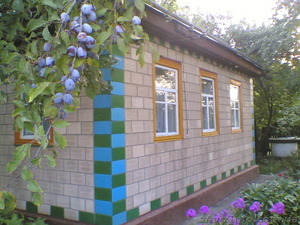 Продается дом 6х10м. в с.Куцовка,  Смелянского р-на,  Черкасской обл. #205602