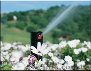 Автоматический полив,  охлаждение туманом #188360