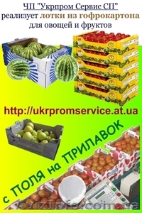 Гофроящики,  коробки,  лотки из гофрокартона #211706