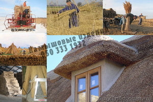 Камыш.Камышовые плиты (маты). Камышовая рогожка. Камыш в снопах. #197606