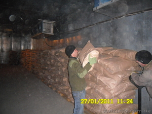 Услуги грузчиков и грузоперевозок #209374