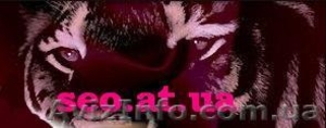 SEO-оптимизация,  продвижение,  раскрутка сайта #185121