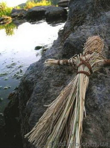 с.Шешоры, продажа участка, срочно, без комиссии. #186935