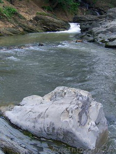 с.Шешоры, продажа участка 60 соток возле горнолыжного подъёмника.Без комиссии. #186939