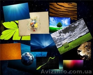 Рекламно-оформительские работы,  декорирование #198757