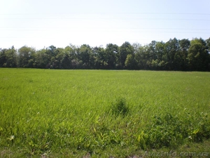 земельный участок 22, 8 сот.под застройку с.Лебедин Борис-го #197922