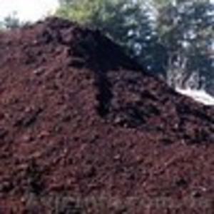 Чернозем в Одессе. #240040