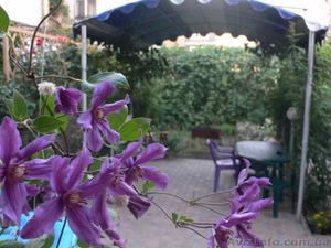 Сдам ДОМ Свой от хозяина Без Комиссии #238269