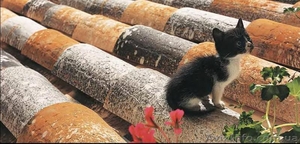 Керамическая черепица Tejas Borja #239574