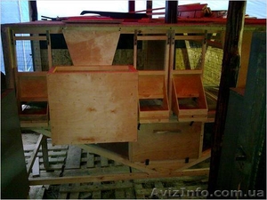 Адаптируемые клетки для разведения кролей вне помещений  #220090