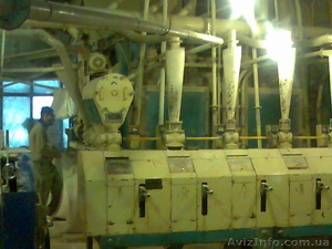 Продам мельницу «Харьковчанка-1200»,  «Харьковчанка-450» #231181