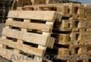 Купим дорого поддоны б/у #245681