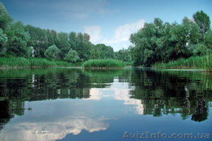 Экскурсии,  морской и речной отдых,  санатории #228652