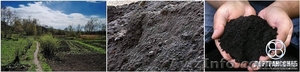 Чернозем,  чернозем с доставкой в Киеве и обл. Грунт 2234291  #229433