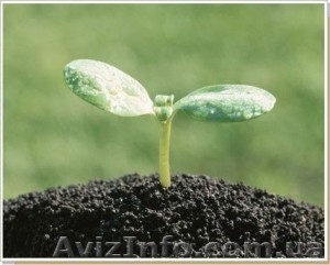 СТРОИТЕЛЬНЫЕ МАТЕРИАЛЫ! БЕСПЛАТНАЯ ДОСТАВКА! #246854