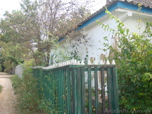 B.Северинка,  10 соток #241246