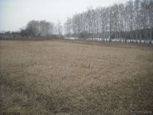 Продается участок под дачу #216549