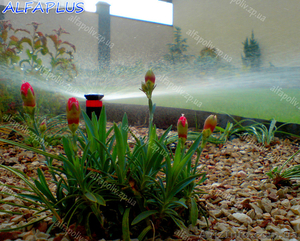 Автоматизированный полив #225336