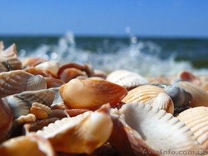 работа в Крыму для повара #246460