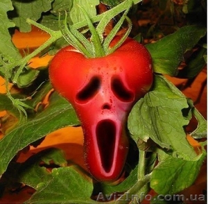 ATENTION!!! Средства защиты растений #234653