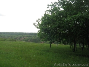 Продам дом пос. Старые Кодаки. #220184