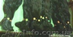 Asian Double Drawn Weft Hair #218134