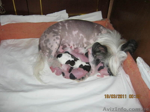 Позднякова Людмила #226812