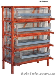 Клетки для перепелов. #231736