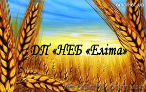 Продам ЛЕН товарный и отходы льна #223705