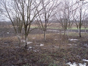 дом с участком 70 соток в 76 км от Киева за 35000 продам срочно #240836