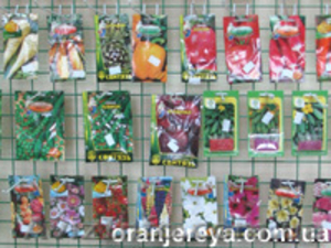 Семена и луковицы - Акция!  #238409