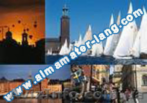 Изучение иностранных языков c Альма Матер #220240