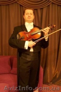скрипка заказать в киеве #247428