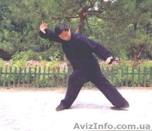 Второй интенсивный семинар по ицюань в Киеве #229561